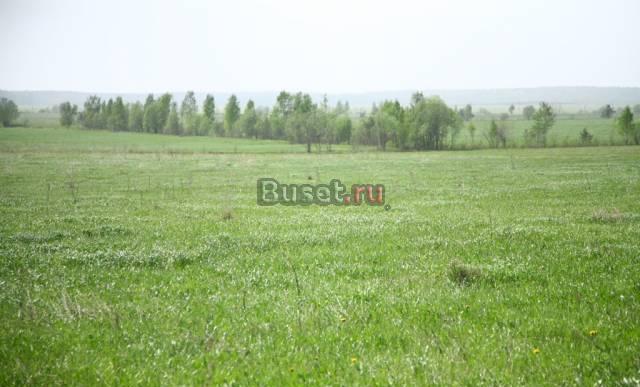 10 соток в Хапо-ОЕ (14 км спб) Всеволожск