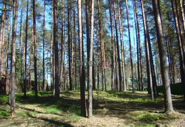 Приозерский р-н, Сосново Санкт-Петербург