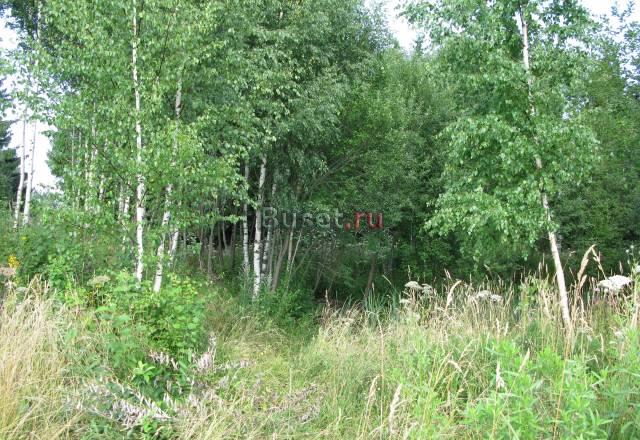 Участок 30 сот. в д.Лобково Ярославское ш. 85 км о Москва