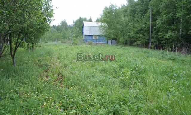 Участок, примыкающий к лесу в экологически чистом Александров