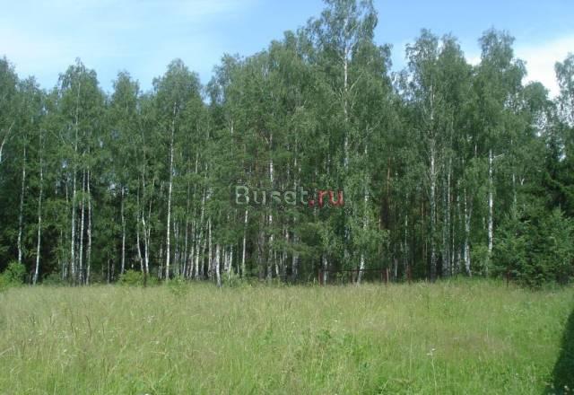 Участок 7,5 соток в СНТ 80 км от МКАД Киржач