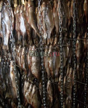 Вяленая рыба Челябинск