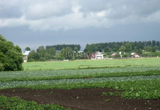 Новорязанское ш.89 км 8 сот пмж  у Оки и Коломны Москва