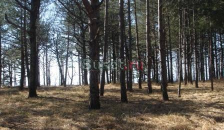 Котеджи на черноморском побережье Волгоград