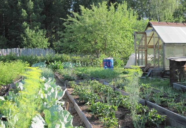 Продам сад Екатеринбург