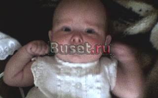 Приму в дар Калининград