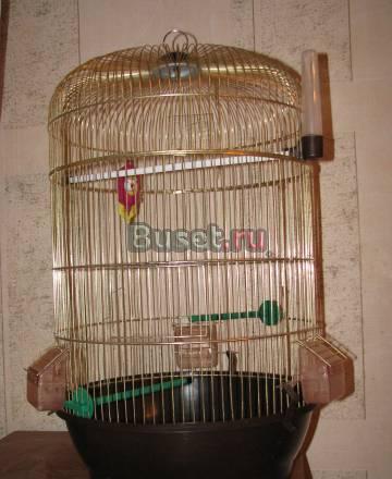 Клетка для попугая Калининград