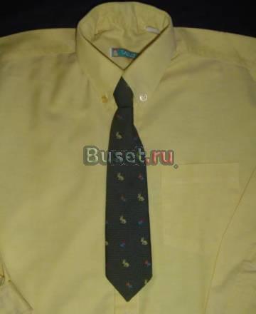 Рубашка дм р.134 Франция Москва