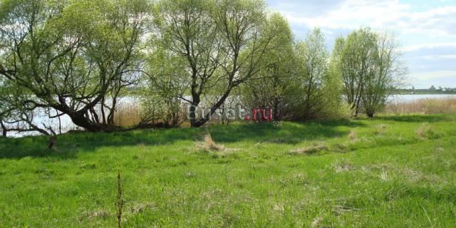 Участок 40 соток первая линия река Жабня. пр.Волги Калязин