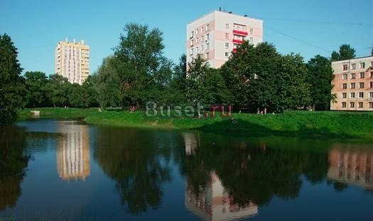 Сниму 1 ккв у м.пр.Ветеранов Санкт-Петербург