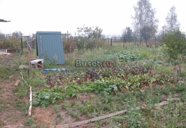 Продам дачу недалеко от Москвы, юго-восток Раменское