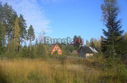 Участок в Жабицах с хвойным лесом Великий Новгород