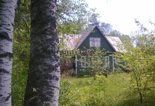 Белоостров, Курортный р-н, 24 сотки Санкт-Петербург