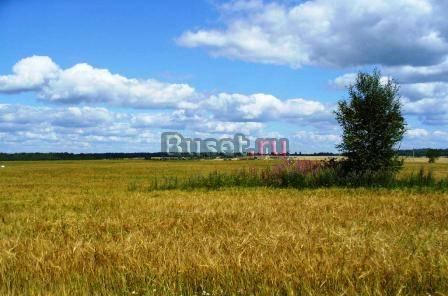 Участок ижс 20соток Следово 50км МКАД Ногинск