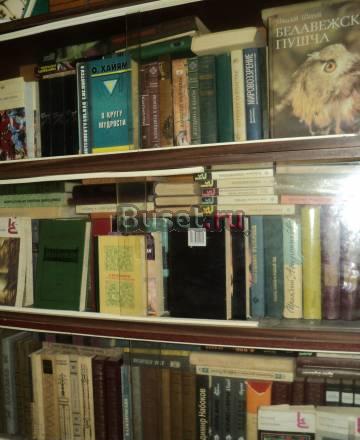 Библиотека Подольск