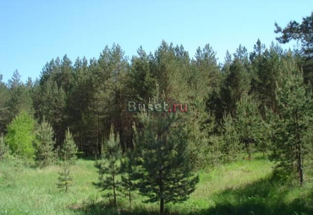 Продам участок 15 соток70 км от МКАД, Щелковское Киржач