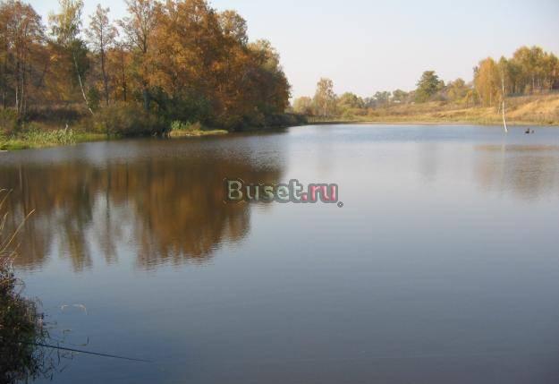 Участок 5,5 соток СНТ Вязищи - дёшево Пущино