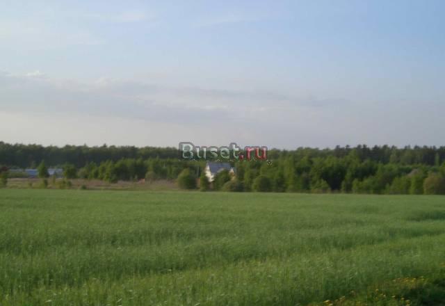 Чеховский р-н, д. Бавыкино,  55 км от МКАД Москва