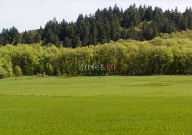 10.5 соток рядом с лесом, Симферопольское ш Москва