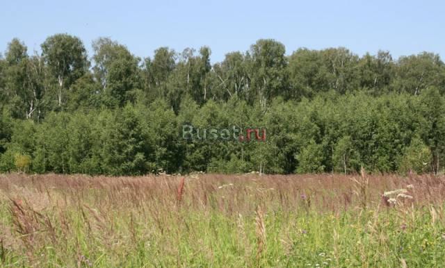 Земельные участки рядом с лесом и водоемом Москва