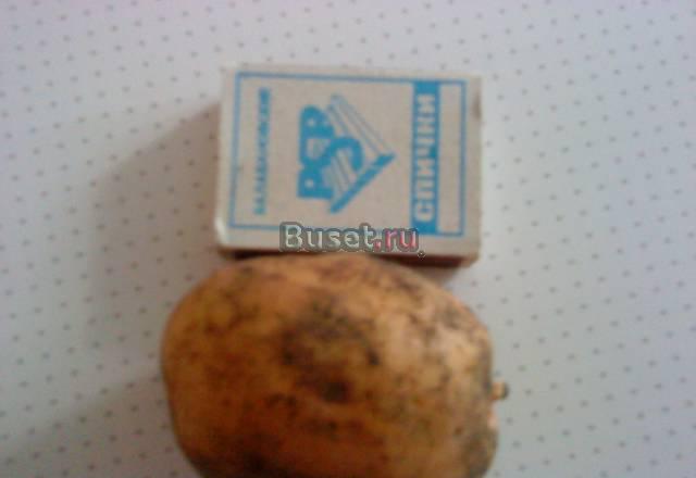 Овощи оптом Воронеж