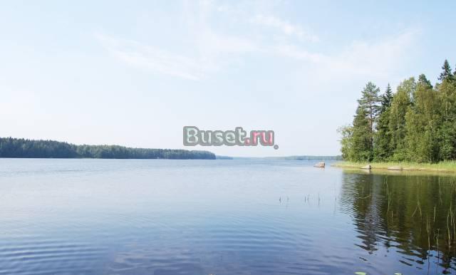 Участки по 10 соток, Выборг. р-н (500м озеро),лес Санкт-Петербург