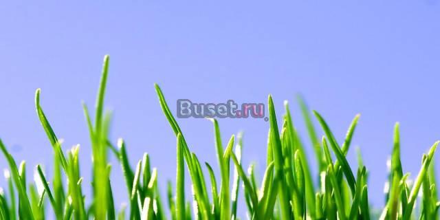 Специалист активных продаж Москва