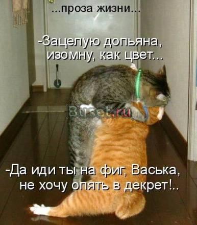 Женские вещи б/у дешево р-р 48-50 рост 178 Санкт-Петербург