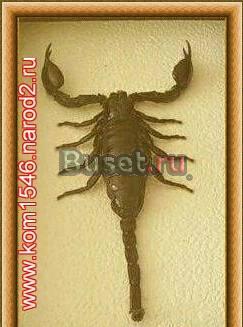 Экзотический интерьер вашего дома Москва