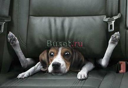 Б/у DVD и CD в ассортименте 60р. от 10шт. - 50р Санкт-Петербург