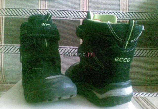 Ботинки ecco Москва