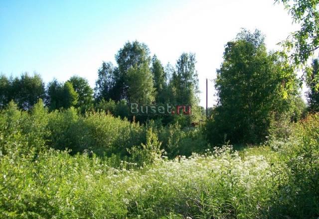 Участок в Уткино Выборг