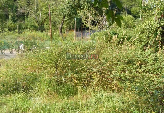 Продаю дом Сочи