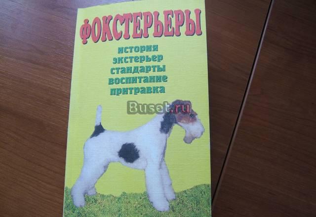 Фокстерьер Москва