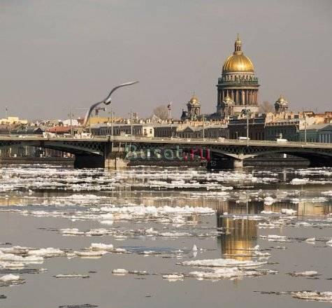 Сдам 1 ккв площадью 54 м2 в новом доме Санкт-Петербург