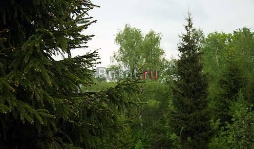 Участок лесные дачи Москва
