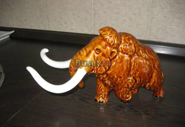 Мамонт карликовый Москва