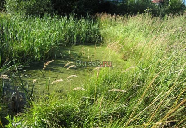 Посёлок Володарский Санкт-Петербург
