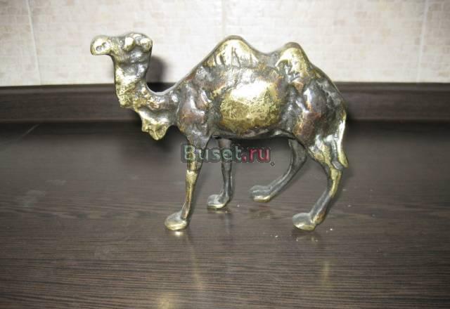 Верблюд бронзовый Москва