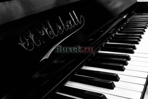 Настройка пианино и роялей.89031414441 Москва