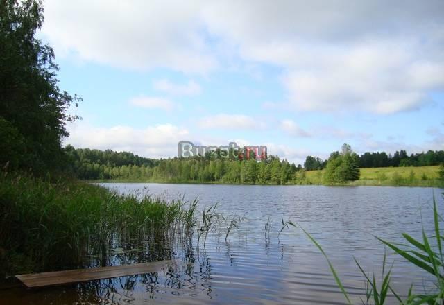 Дача в Лужском р-оне Санкт-Петербург