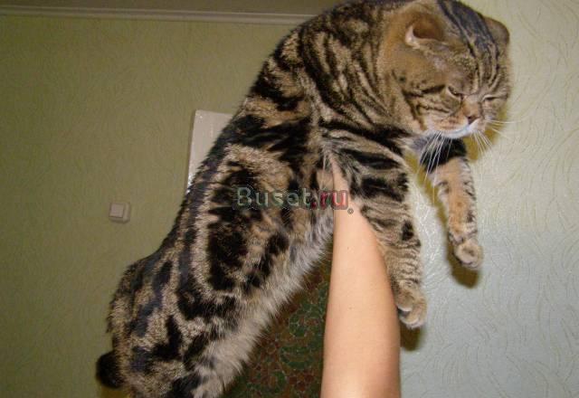 Вязка Волгоград