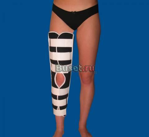 Тутор orto Москва