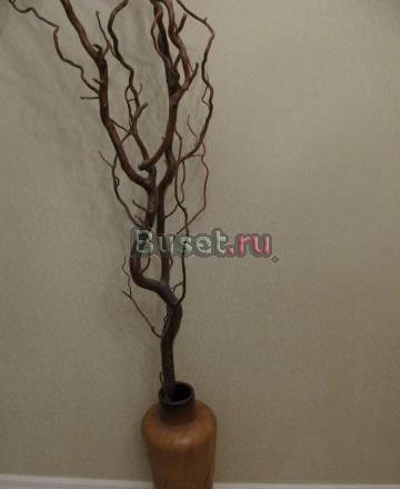 Ваза с декоративной веткой Москва