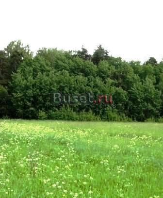 Участок 6-15 сот 10км от МКАД по Егорьевскому ш Москва