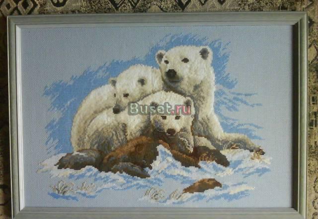 Вышивка крестом "Белые медведи" Ногинск