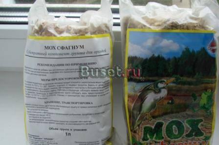 Мох сфагнум для фиалок и др. растений Москва