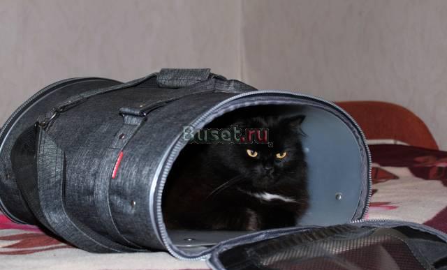 Переноска для кошки Санкт-Петербург