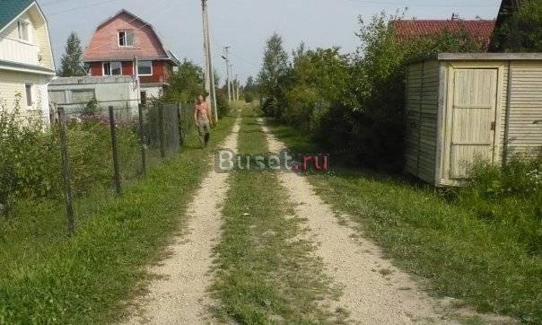 Продаю участок в Кобралово Санкт-Петербург