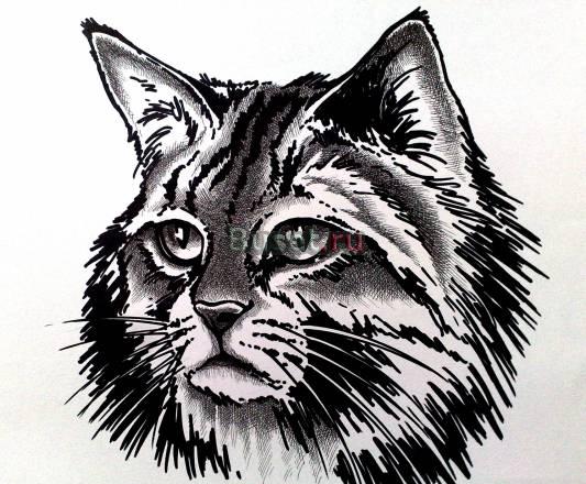 Рисунок. графика Москва